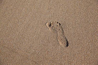 经典MMO《圣境传说》回归登陆Steam 第二季度上线